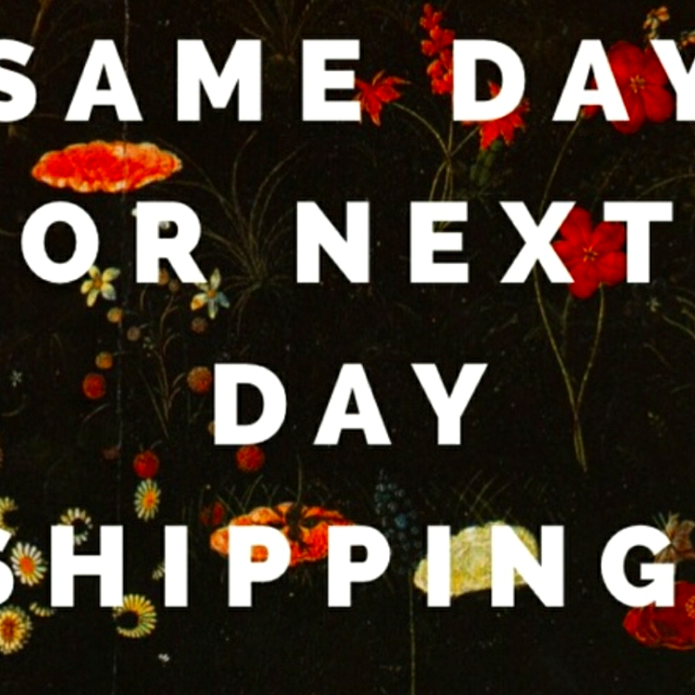 Fast Shipping